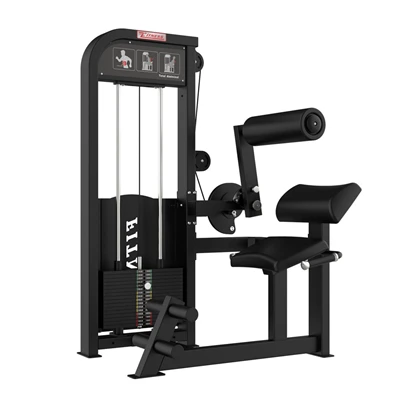 Trainer muscular din spate